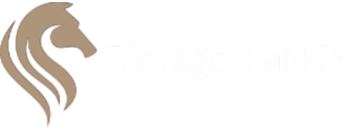 Elevage LaMO