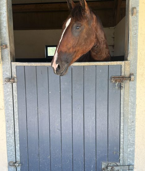 PHOTO-2025-06-17-10-14-07