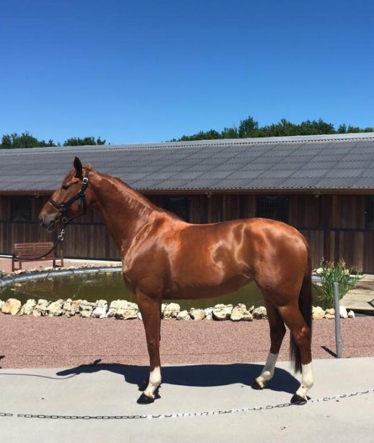 PHOTO-2025-06-28-10-47-00