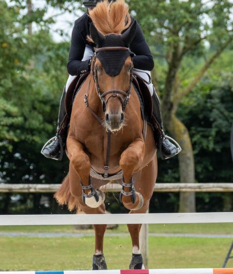 PHOTO-2025-06-30-17-39-37