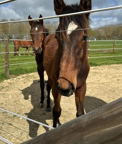 WhatsApp-Image-2025-03-30-at-16.06.04_eb4f05d4