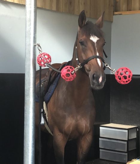 WhatsApp-Image-2025-05-29-at-16.42.31