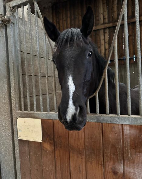 WhatsApp Image 2025-07-20 at 13.30.38